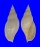 VOLUTIDAE PROVOCATOR MIRABILIS shell
