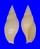 VOLUTIDAE PROVOCATOR MIRABILIS shell