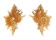 MURICIDAE MUREXIELLA PELEPILI shell