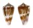 CONIDAE CONUS LISCHKEANUS SUBROSEUS shell