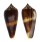 CONIDAE CONUS TMETUS shell