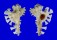 MURICIDAE MUREX SCORPIO shell