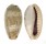 CYPRAEIDAE ERRONEA CAURICA BLAESA shell