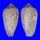 CONIDAE CONUS TEXTILE SCRIPTUS shell