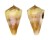 CONIDAE CONUS DAYRITI shell