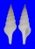 TURRIDAE GEMMULA MARTINI shell