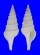 TURRIDAE GEMMULA MARTINI shell