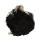 OSTREIDAE EMPRESSOSTREA PHILIPPINARUM shell