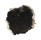OSTREIDAE EMPRESSOSTREA PHILIPPINARUM shell