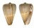 CONIDAE CONUS LOROISII INSIGNIS shell