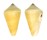 CONIDAE CONUS QUERCINUS shell