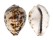 CYPRAEIDAE CYPRAEA TIGRIS shell