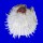 SPONDYLIDAE SPONDYLUS VARIANS shell