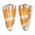 CONIDAE CONUS VITULINUS shell