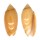 OLIVIDAE OLIVA ANNULATA CARNICOLOR shell