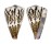 CONIDAE CONUS CAPITANEUS shell