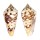 CONIDAE CONUS AMMIRALIS shell