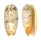 OLIVIDAE OLIVA RETICULATA PALLIDA shell
