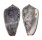 CONIDAE CONUS MONACHUS shell