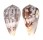 CONIDAE CONUS ERMINEUS ERMINEUS shell
