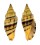 MITRIDAE VEXILLUM PLICARIA shell