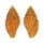 MITRIDAE NEBULARIA FRAGA shell