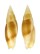 MITRIDAE NEBULARIA RUBIGINOSA shell