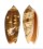OLIVIDAE OLIVA MINIACEA SYLVIA shell