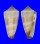 CONIDAE CONUS FURVUS NEOBUXEUS shell
