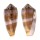 CONIDAE CONUS CIRCUMCISUS shell