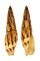 MITRIDAE MITRA INCOMPTA shell