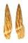 MITRIDAE MITRA INCOMPTA shell