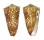 CONIDAE CONUS VICTOR shell
