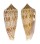 CONIDAE CONUS LATERCULATUS shell
