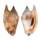STROMBIDAE STROMBUS BULLA shell