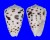 CONIDAE CONUS PULICARIUS shell