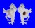 MURICIDAE HOMALOCANTHA ANATOMICA ANATOMICA shell