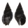 NASSARIIDAE NASSARIUS OLIVACEUS shell