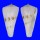 CONIDAE CONUS IONE shell