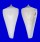 CONIDAE CONUS SUGIMOTONIS shell