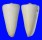 CONIDAE CONUS COELINAE shell
