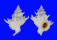 CORALLIOPHILIDAE BABELOMUREX DIADEMA shell