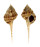 MURICIDAE MUREX DENTIFER shell