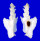MURICIDAE PTERYNOTUS ELONGATUS shell