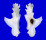 MURICIDAE PTERYNOTUS ELONGATUS shell