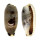 CYPRAEIDAE ERRONEA CYLINDRICA CYLINDRICA shell