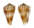 CONIDAE CONUS CAPITANELLUS shell