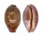 CYPRAEIDAE LEPOCYPRAEA MAPPA PANERYTHRA shell