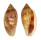 MARGINELLIDAE MARGINELLA DESJARDINI shell