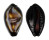 CYPRAEIDAE ERRONEA ONYX shell